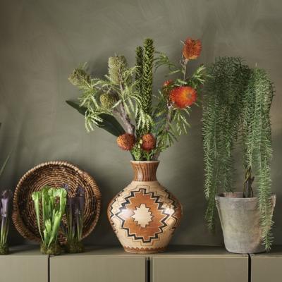 Mrplant Banksia Exotiskt 1280